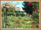 Jardins de Monet - 62 ko